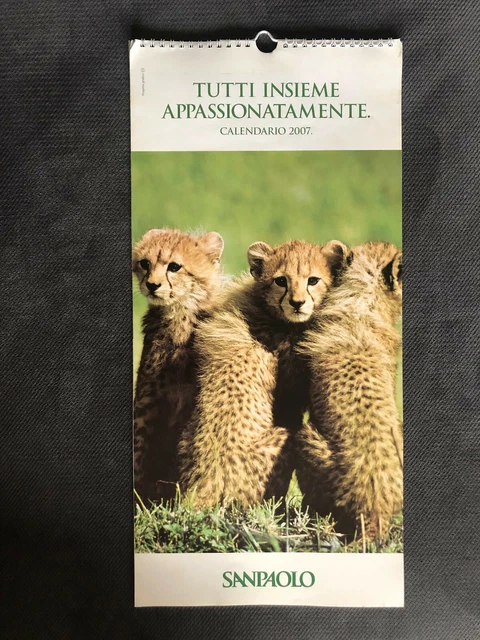 CALENDARIO 2007 ANIMALI BANCA INTESA SANPAOLO pinguini orsi giraffe oche maiali