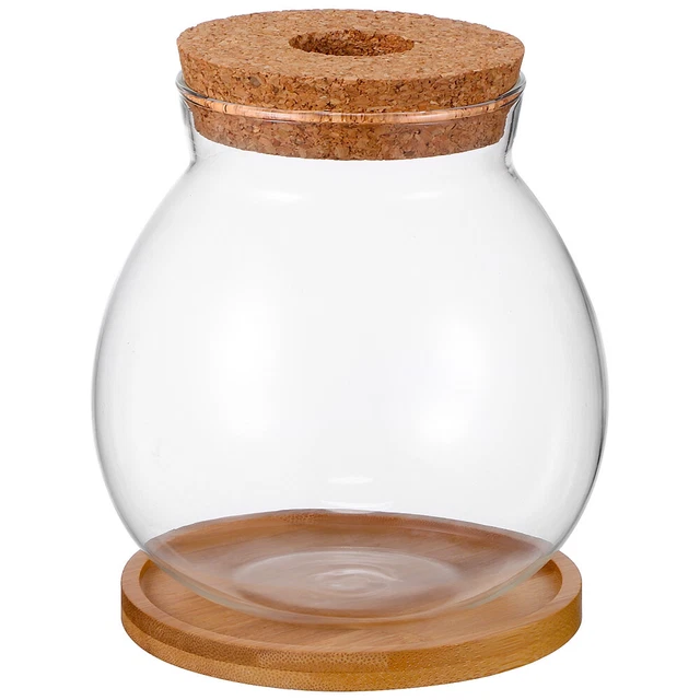 Small Glass Fish Bowl Betta Tank Terrarium Aquarium for Coffee Table or Desktop