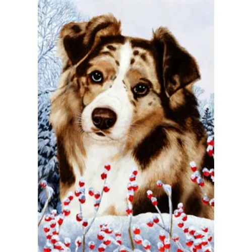 Winter House Flag - Red Merle Australian Shepherd 15202