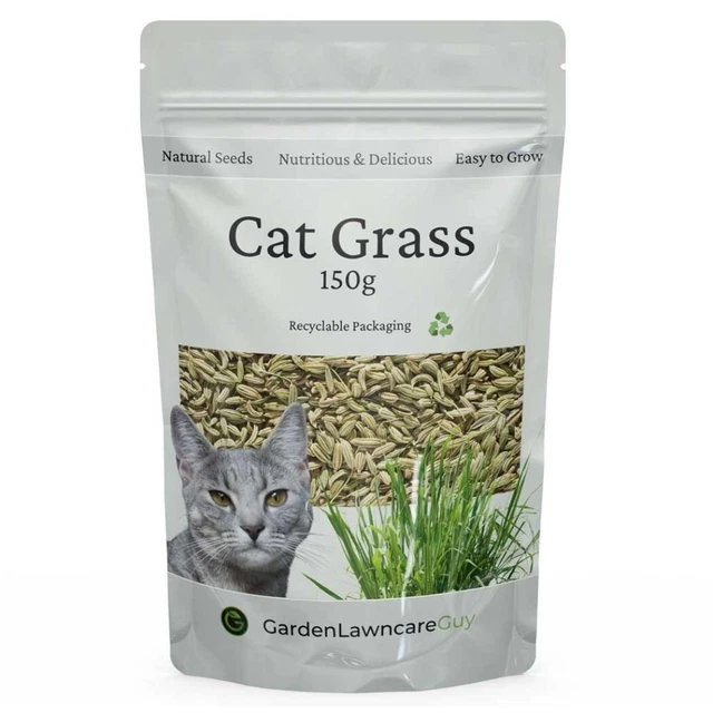 CAT GRASS SEEDS for Indoor & Outdoor Cats Fast Growing Bulk Value