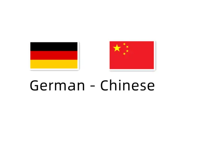 your video subtitle german to chinese