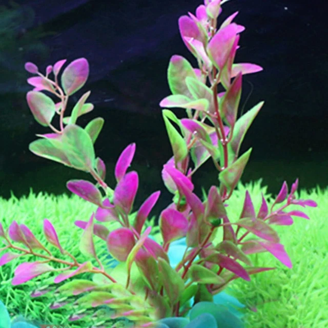 Pianta artificiale erba acquatica parti serbatoio accessori 16 cm decorazione alghe 8