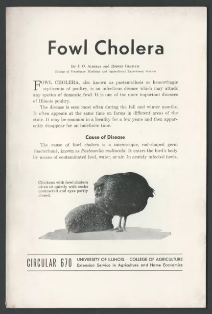 FOWL CHOLERA 1950 Booklet Univ. of Illinois FARMING AGRICULTURE