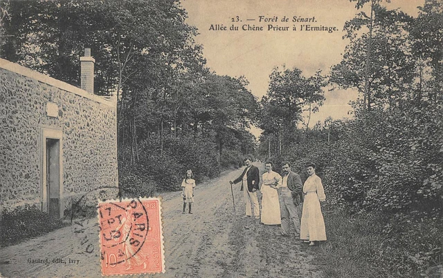 Cpa 94 Foret De Senart Allee Du Chene Prieur A L'ermitage