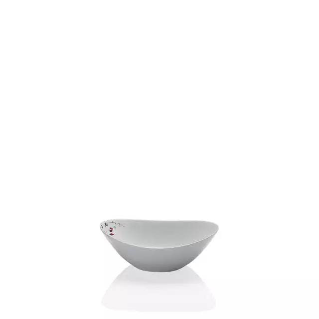 Bol à Céréales Porcelaine Plat / Coupe à Muesli de Salade Bols 24 CM Arzberg