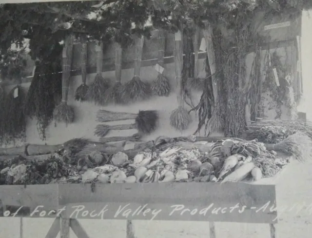 Exhibit of Fort Rock Valley Products, Oregon Postcard (1912)