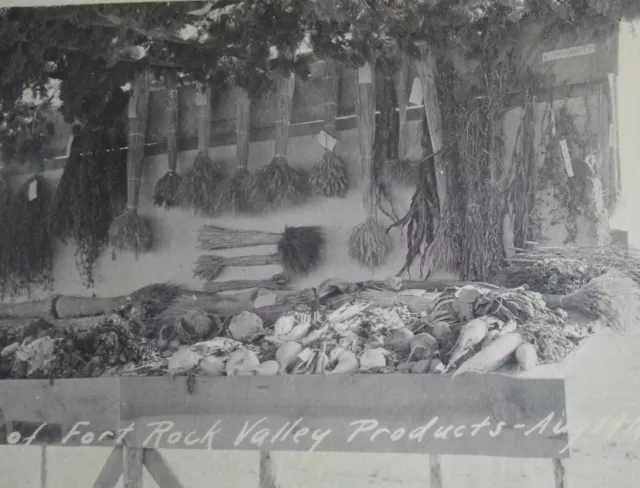 Exhibit of Fort Rock Valley Products, Oregon Postcard (1912)