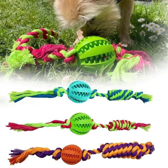 Curated visual reference: Fresh Look at Pet Dog Molar Rope Toys Puppy Chew Bite Toy Tough