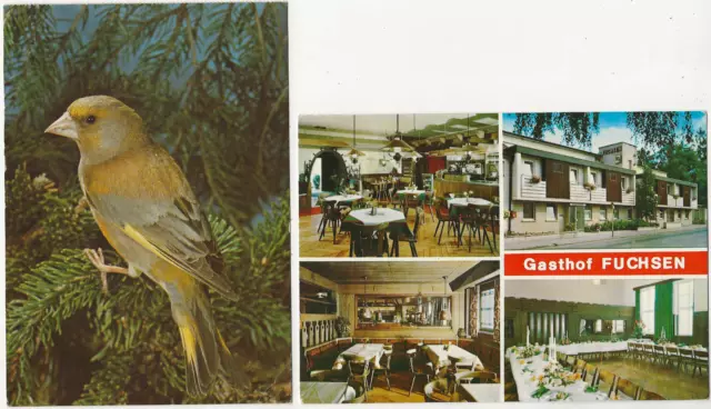 92/43 Ak Gasthof Fuchsen + Ak Tierheim Lankwitz Berlin