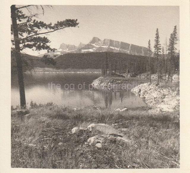 Vintage FOUND PHOTOGRAPH bw FREE SHIPPING Original Snapshot 811 42 M