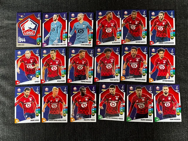 Carte Panini LOSC Lille Ligue 1 Foot 2009 - Au Choix