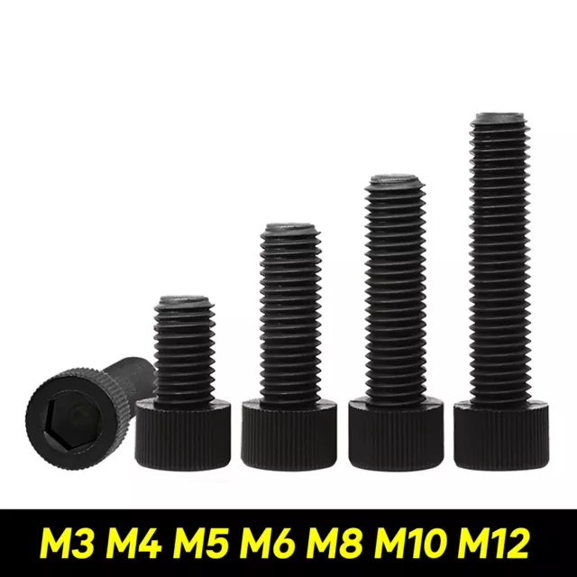 M3 M4 M5 M6 M8 M10 M12 Black Nylon Allen Bolt Socket Cap Screws Hex Head DIN 912