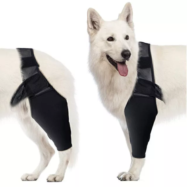 Ellenbogenschutz für Hunde, Beinschutz für Hunde, Ellenbogenbandage,