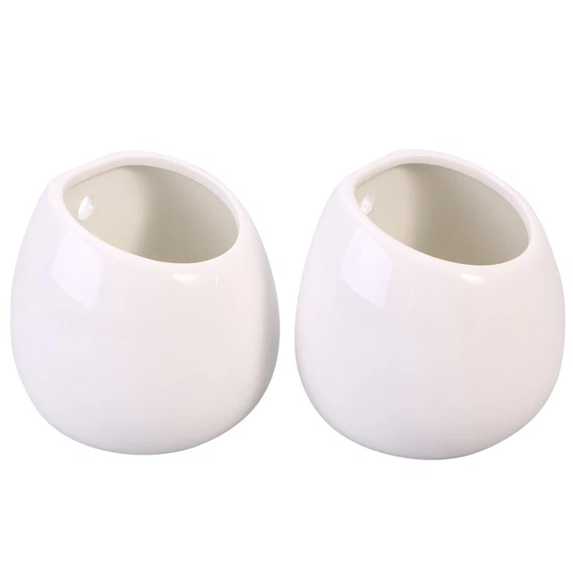 2 Pcs Succulent Plant Pots Mini Vase Wall Mounted Planters Hanging