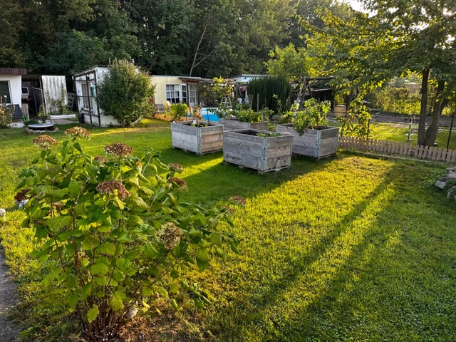 Pachtgarten/Kleingarten