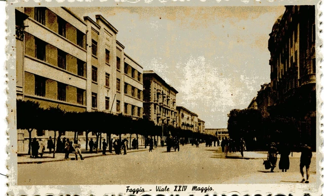 c.ill.  FOGGIA VIALE XXIV MAGGIO   nuova