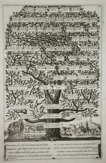 Stoccarda Durlach Karlsruhe Vista Incisione Ceder-Baum 1661 Albero Genealogico