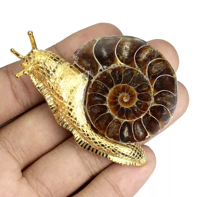 Umwerfend Nat?rlich Ammonit Fossil 46x38mm 925 Silber Snail Gro? Brosche Spezial