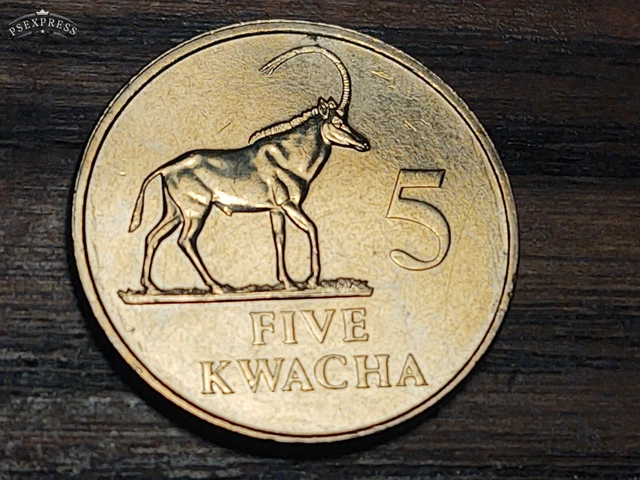 Zambia 1992 UNC 5 Kwacha Coin - Sable Antelope - Free U.S. S/H