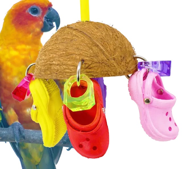 1784 Coco Sandalen Vogel Spielzeug Papagei Käfig African Grau Kakadu Conure Ara