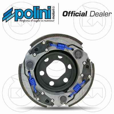 Aeon FRIZIONE POLINI EVOLUTION 3G D.107 PER AEON COBRA 50 