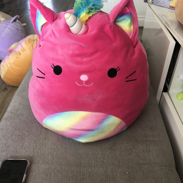 SQUISHMALLOWS LIZETTE CATICORN Cat Unicorn Pink Rainbow Squishmallow ...