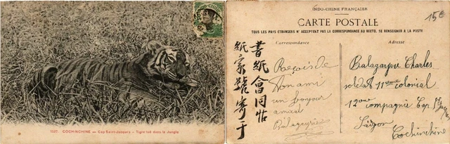 CPA AK VIETNAM Cochinchine - Cap St-JACQUES (427967)