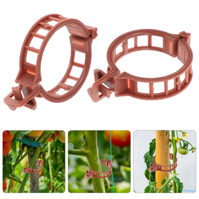 100 Stück Gartenclip Gewächshaus -Trellis Wandklammern Unterstützung für