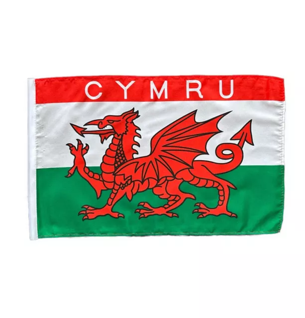 Cymru Wales National Small 18inch x 12inch (Boat) Polyester Flag