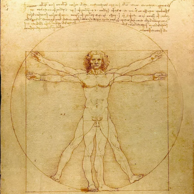 New Leonardo da Vinci The Vitruvian Man Wall Art Poster Or Canvas Square Size