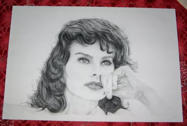 Disegno Matita E Carboncino 33X48 - Sophia Loren - Bellissimo!