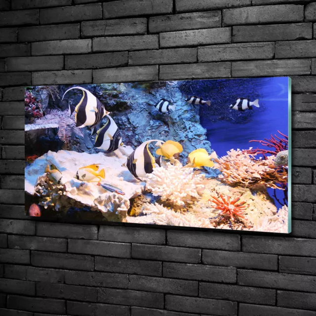 Wandbild aus Plexiglas® Druck auf Acryl 100x50 Tiere Korallenriff