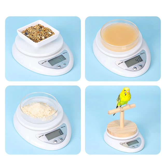 BIRD SCALE SMALL Animal Scale with Perch for Pet Bird High Accuracy ...