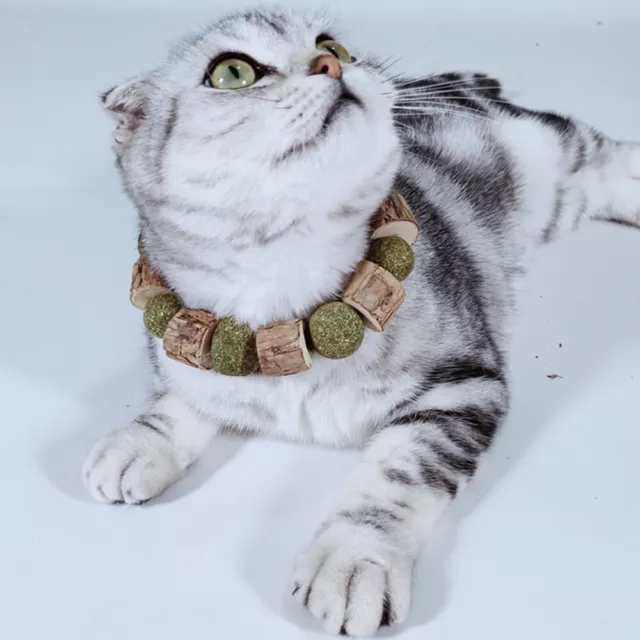Collar hierba gatera suministros para gatos mascotas juguetes para gatos de interior