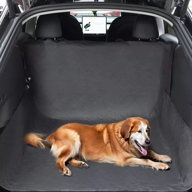 Boot Liner/Protector?