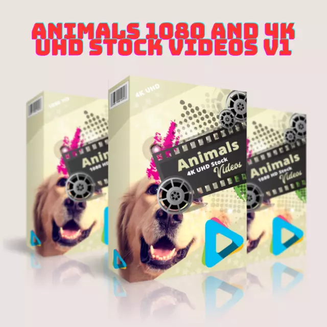 Animals 1080 and 4K UHD Stock Videos