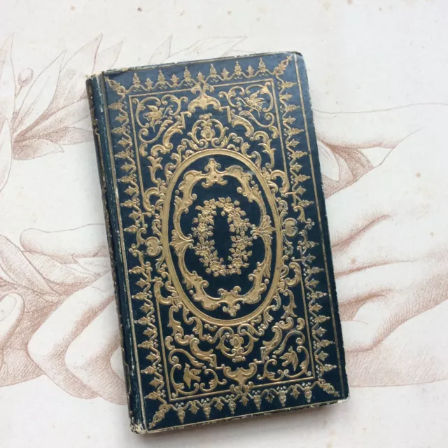 Livre Reliure Romantique Gaufrée 1847 Histoire Naturelle Insectes et Reptiles