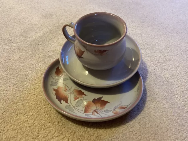 Vintage Denby  Autumn Leaves Twilight Design cup saucer & side plate