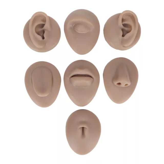Body Piercing Practice Model Simulation Silicone Ear Eye Nose Mouth Tongue A TEM