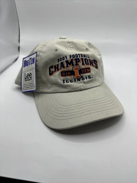 Vintage Illinois 2001 Big Ten Football Champs Stapback Hat. NWT