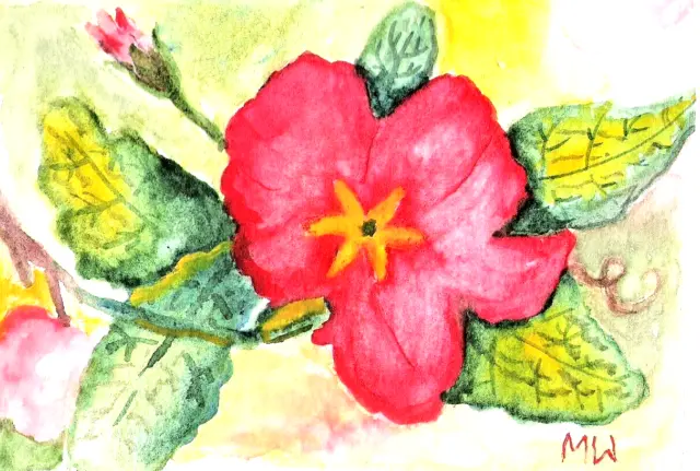 Art Watercolor Painting Yellow-Centered Red Primula Primrose Green Leaves Floral