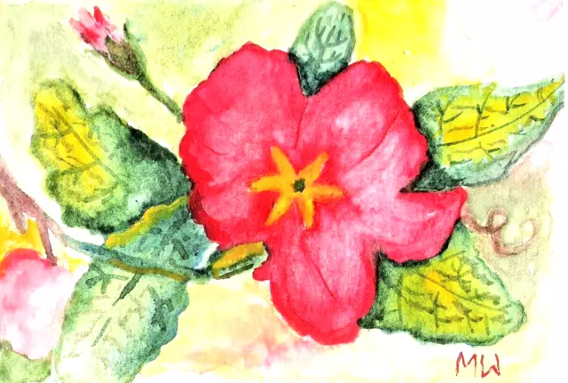 Art Watercolor Painting Yellow-Centered Red Primula Primrose Green Leaves Floral