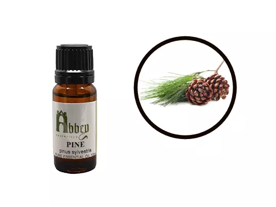Essential Oil Pine 100% Pure Natural Uncut Aromatherapy 10ml - 1 Litre UK