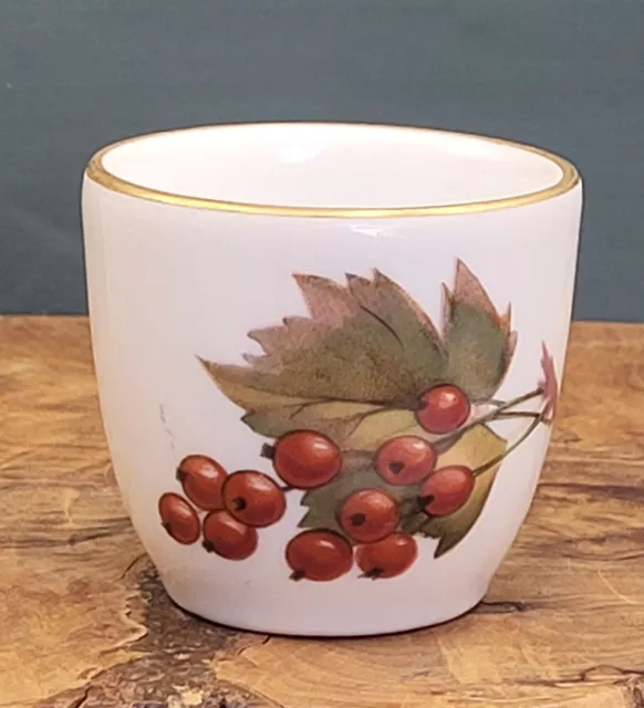 Royal Worcester Evesham Gold Eibecher Wiederkehrend & Winterblätter