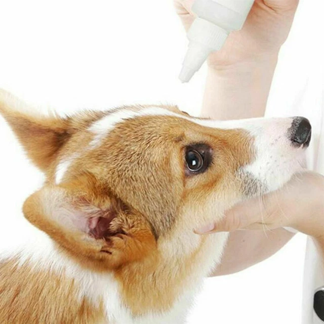 Pet Dog Cat Eye Drops Anti-Inflammatory Tear Stain Conjunctivitis Best R8Z3