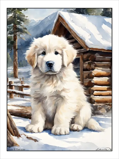 Great Pyrenees Puppy Print, Poster, Dog Wall Art, Animal Decor