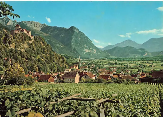 alte AK Vaduz - Fürstentum Liechtenstein ungelaufen Ansichtskarte E695h