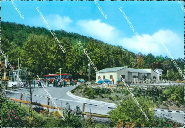 bl389  cartolina rifreddo villaggio turistico provincia di potenza