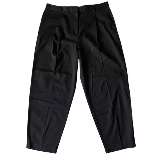 Everlane NWT The Slouchy Chino Pleated Barrel Crop Black Pants 10