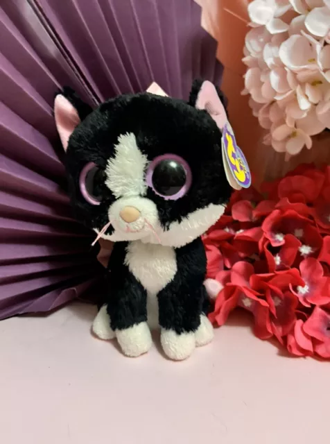 TY BEANIE BOO Pepper The Cat Purple Tag Solid Eyes Extremely Rare Htf 6 2014 35.00 PicClick AU